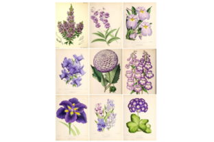 Download 9 Vintage ATC Cards, Ephemera Tags - Vintage Collection