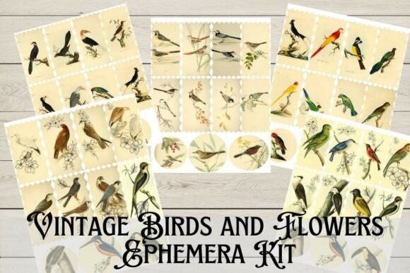 Download Vintage Birds and Flowers Ephemera Kit - Vintage Collection