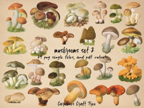 Download Vintage Mushrooms Cutouts Set 2 - Vintage Collection